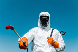 Emergency Pest Control in Pascoag, RI